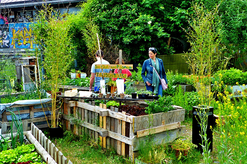 KulturInsel in Bad Cannstatt